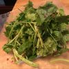 どっさり！パクチーとルッコラのサラダ
